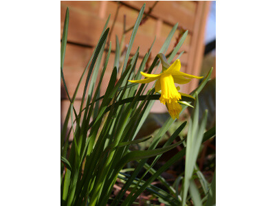 Frühling
